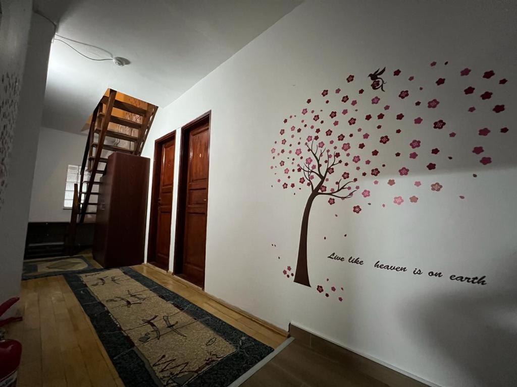 Pensiunea Aurora วาร์ท็อป ภายนอก รูปภาพ